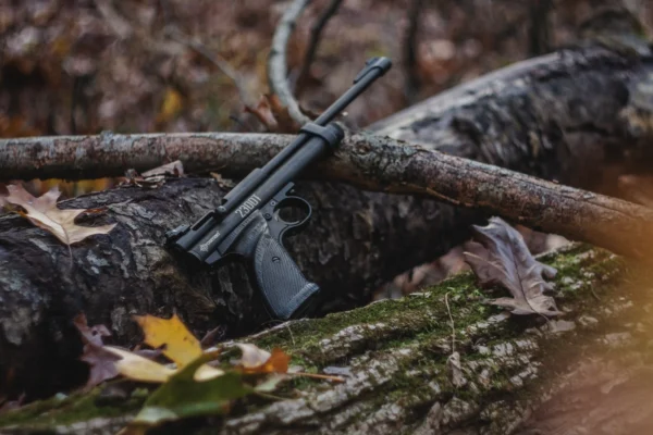 2300T Sitting on a Log in the Woods Medium